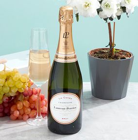 Laurent Perrier Champagne