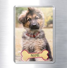 Pet Dog Photo Magnet - Portrait