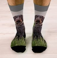 Tap to view Full Photo Upload Novelty Dog Socks