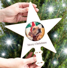 Pet Photo Tree Topper