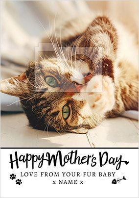 From your Cat on Mother's Day photo upload Card