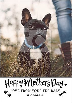 From your Dog on Mother's Day photo upload Card
