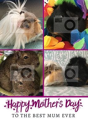 Best Mum Ever Multi Photo Card