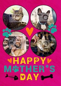 Pet Mother's Day Multi Photo Card