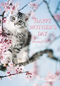 Mother's Day Kitten In Blossoms Personalised Card