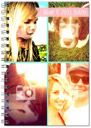 Happy Days 2013 Diary