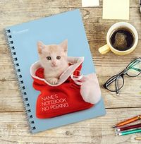 Rachael Hale Notebook - No Peeking
