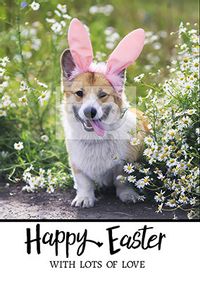 Tap to view Essentials - Happy Easter Full Photo Upload