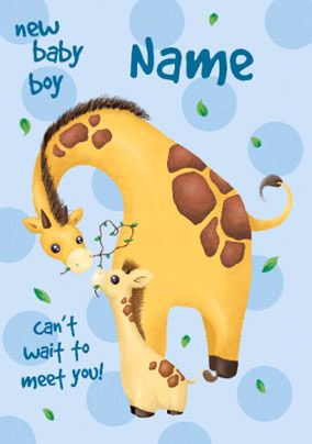 Baby Giraffe - Baby Boy