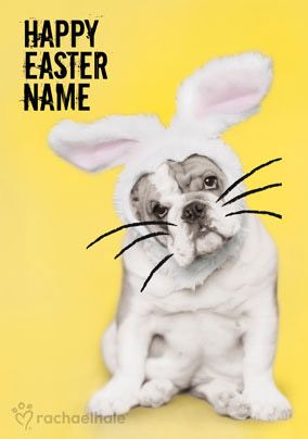 Bulldog in Bunny outfit personalised Easter card