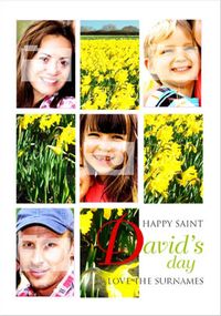 Wishful Photo - St David's Day