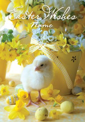 Posies & Petals - Easter Chick