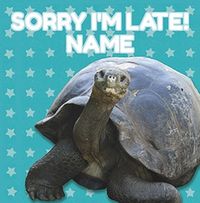 Tortoise Birthday Card - Sorry I'm Late