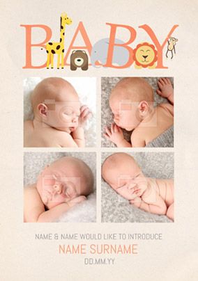 Animal Magic - New Baby Card Introducing Baby