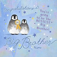 Bestest Big Brother Penguin personalised Card