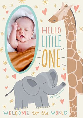 Hello Little One New Baby Photo Card
