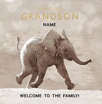 Amazing New Grandson personalised Card
