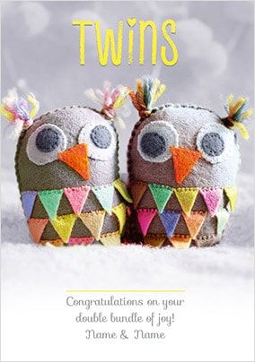 Baby Twins Owl Congratulations Card