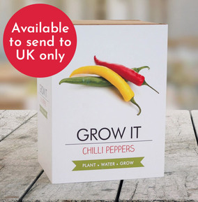Chilli Grow It Kit
