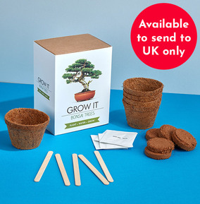 Bonsai Tree - Grow It Kit WAS £12.99 NOW £5.99