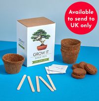 Bonsai Tree - Grow It Kit