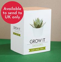 Succulents Grow It Kit