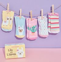 Toddlers Lily The Llama Sock Pack 2-4 Years