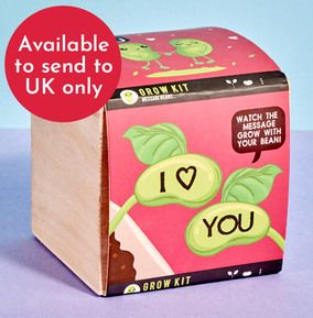 Magic Message Bean - I Love You WAS £10.99 NOW £6.99