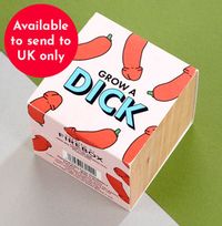 Grow A Dick Chilli Plant