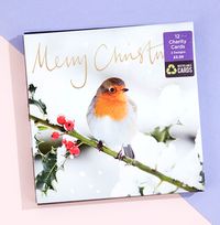 Robins On A Branch Christmas Card Box Set