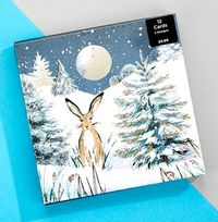 Hare In woodland Christmas Cards - Pack Of 12