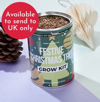Christmas Tree Grow Kit WAS £4.99 NOW £2.99