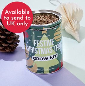 Christmas Tree Grow Kit WAS £4.99 NOW £2.99