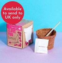Mini Grow It - I Love You Sweet Peas