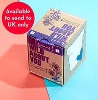 Mini Grow It - Wild Flowers