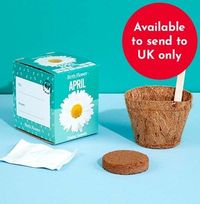 Tap to view April Grow Your Own Birth Flower Kit - Daisy