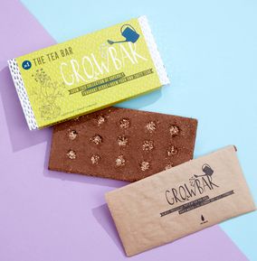 Grow Your Own Tea