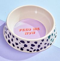 Bamboo Dog Bowl