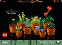 LEGO Icons Tiny Plants