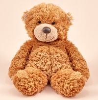 Tap to view Beau Bear