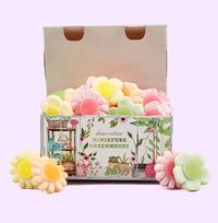 Tap to view Greenhouse Sweets Gift Box