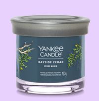Tap to view Yankee Candle Small Bayside Cedar