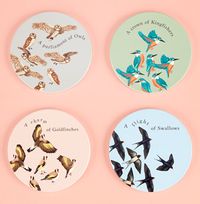 Tap to view RSPB Birds Coasters Set