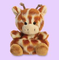 Tap to view Palm Pals Giraffe Soft Toy