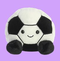Tap to view Palm Pals Football Soft Toy