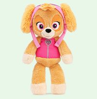Tap to view Paw Patrol Skye Plush