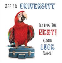 Tap to view Abacus - Flying the nest for University