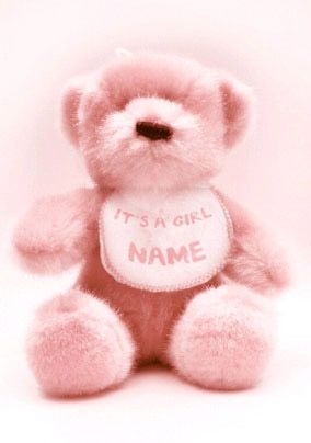 Baby Photo - Teddy Bear Girl
