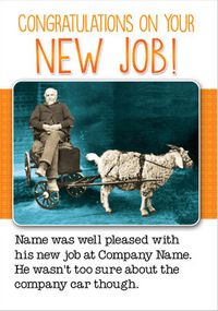 Jolly Follies - New Job, company car