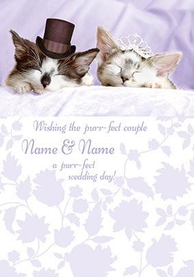 Carlton - Wedding Kittens
